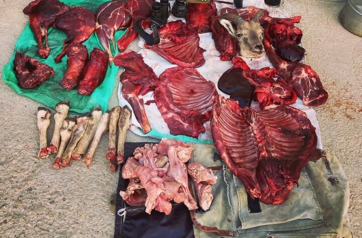 5 شکارچی در شاهرود دستگیر شدند