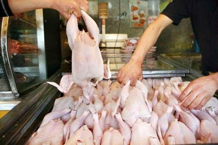 قیمت مرغ در همدان ۷۹۵۰۰ تومان/ ارقام دیگر شایعه است