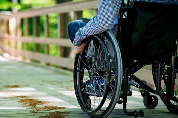 برنامه جامع ارائه خدمات سلامت به معلولان دشتستان تدوین شد