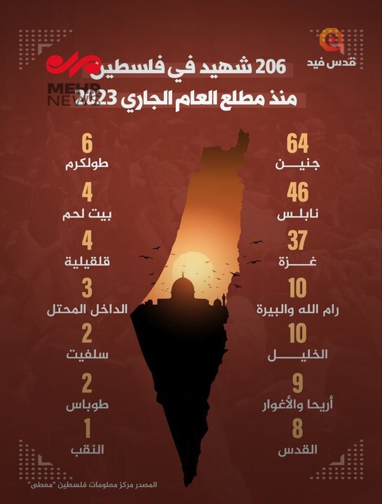 شهادت ۲۰۶ فلسطینی از ابتدای سال جاری+ عکس
