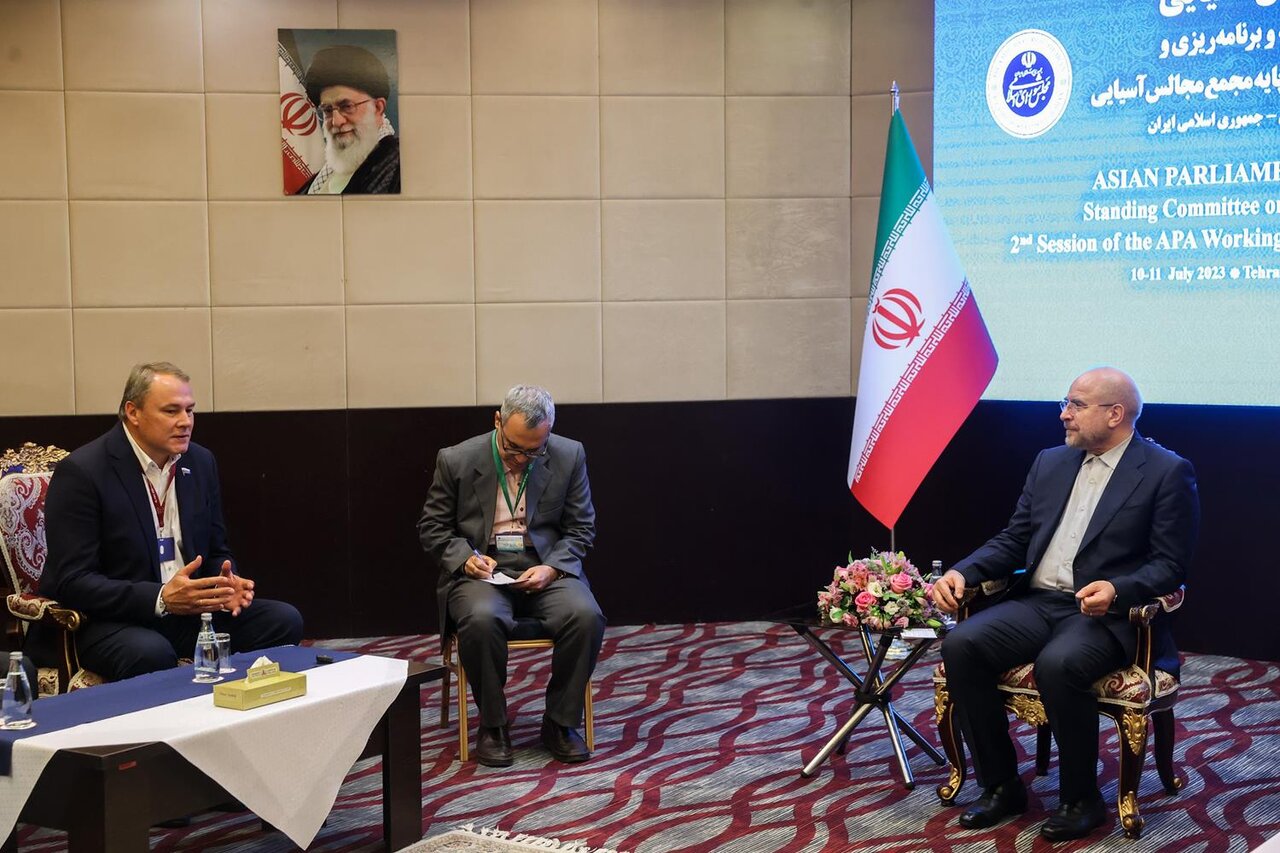 Iran Speaker, deputy chairman of State Duma meet