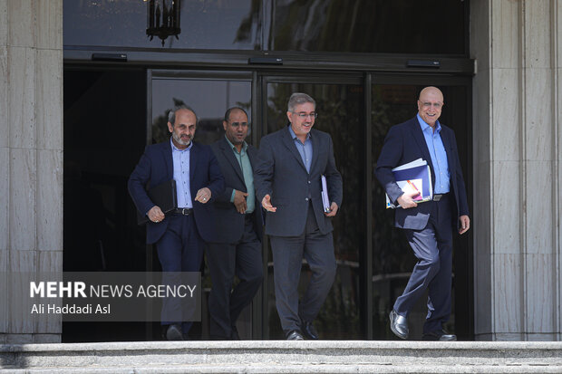 رضا مراد صحرایی وزیر آموزش و پرورش، محمد علی زلفی گل وزیر علوم، داوود منظور رئیس سازمان برنامه و بودجه و پیمان جبلی رئیس صدا و سیما در حاشیه جلسه هیئت دولت حضور دارند