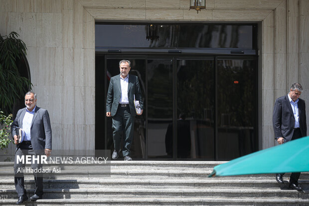 محمد اسلامی معاون رئیس جمهور و رئیس سازمان انرژی اتمی و علیرضا زاکانی در حاشیه جلسه هیئت دولت حضور دارد