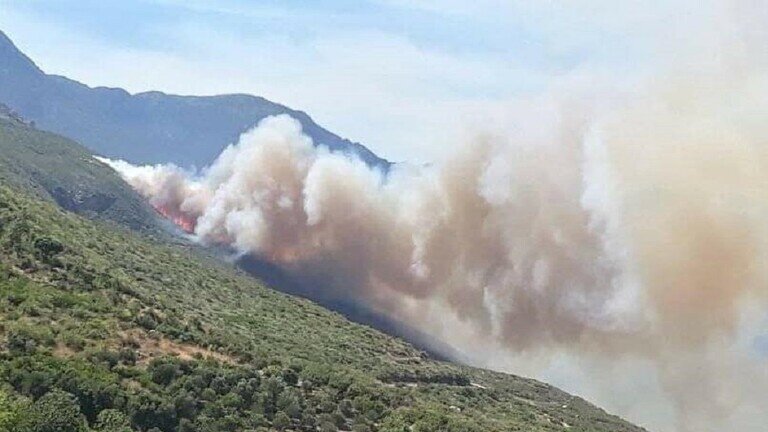 آتش‌سوزی گسترده در جنگل‌های غرب سوریه+ تصاویر