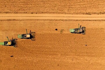 Iran’s grains storage rose 5.9% in 2022: FAO