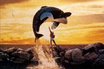 «ویلی آزاد» ۳۰ ساله شد/ فیلمی که نگاه جهان به نهنگ‌ها را تغییر داد