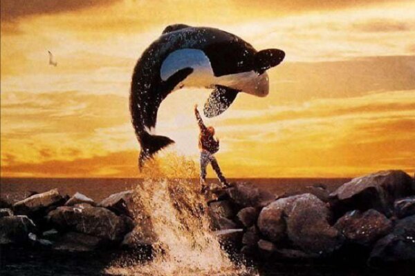 «ویلی آزاد» ۳۰ ساله شد/فیلمی که نگاه جهان به نهنگ‌ها را تغییر داد