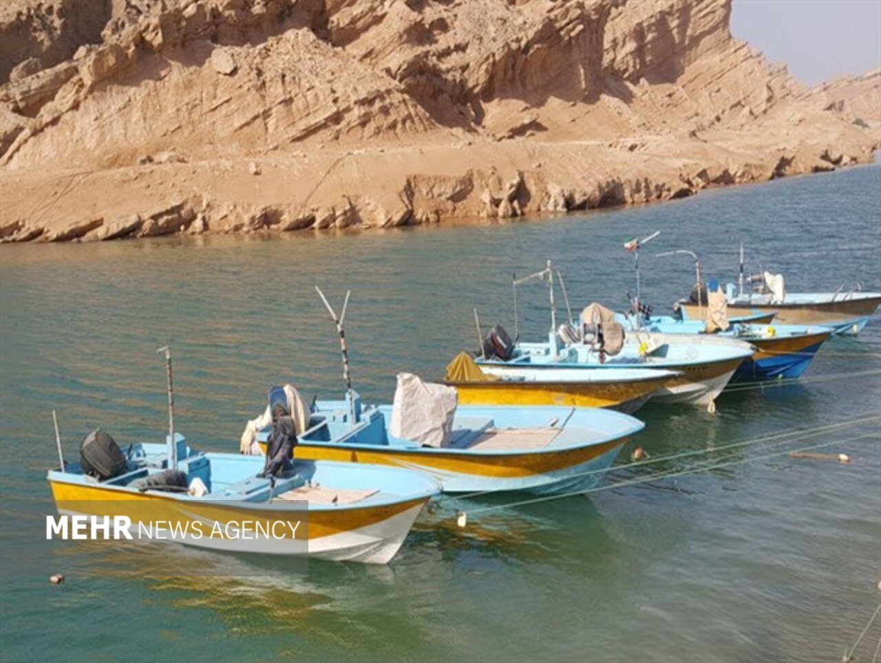 بزم شب چراغها و نابودی آبزیان خلیج فارس