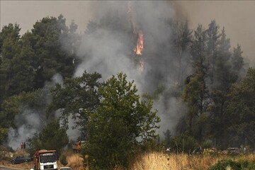 آتش‌سوزی جنگل‌ها شهرک‌های مسکونی یونان را تهدید می‌کند