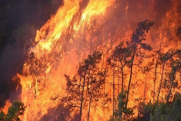 إجلاء أشخاص في تركيا جراء حريق غابات