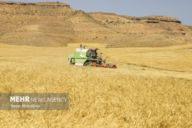  رتبه برتر آذربایجان شرقی در طرح جهش تولید دیمزارها