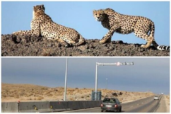 سرعت اجرای مصوبات کمیسیون راهها با وضعیت بحرانی یوز همخوان نیست