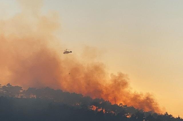 آتش سوزی گسترده جنگلی در استان هاتای ترکیه
