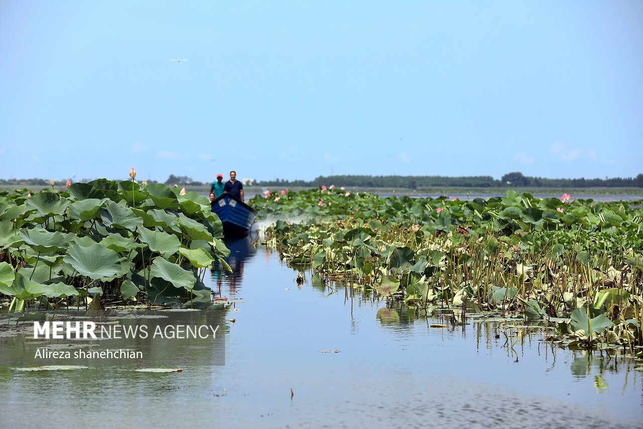 سهگانه اشتغال، محیط زیست و گردشگری مطالبه گیلانیها از استاندار