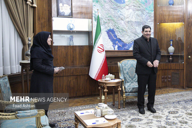 
Meeting between Iran's 1st VP and Iraqi labor minister
