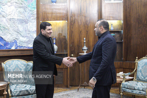 
Meeting between Iran's 1st VP and Iraqi labor minister
