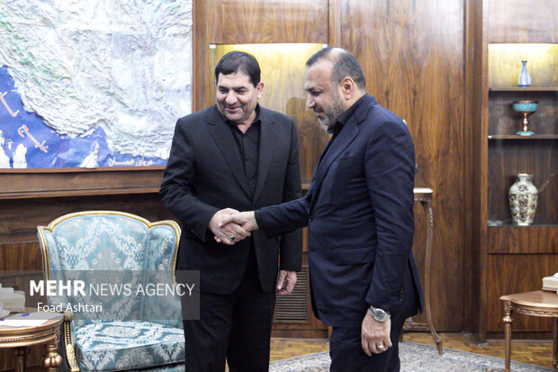 
Meeting between Iran's 1st VP and Iraqi labor minister
