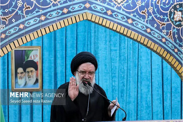 Arbaeen walk a 'unique divine exercise': senior cleric