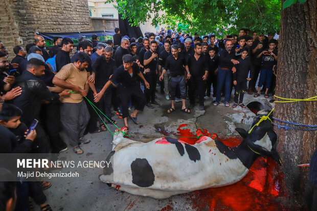 مراسم سنتی «محله گردی»