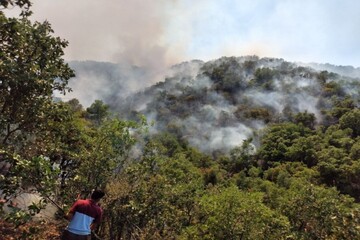 آتش‌سوزی در پارک ملی گلستان مهار شد