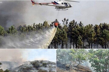 آتش سوزی جنگل های مریوان مهار شد