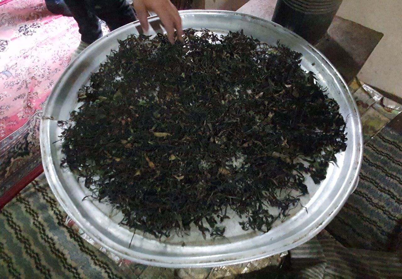 احیای پارچههای نایاب و چشیدن طعم واقعی چای