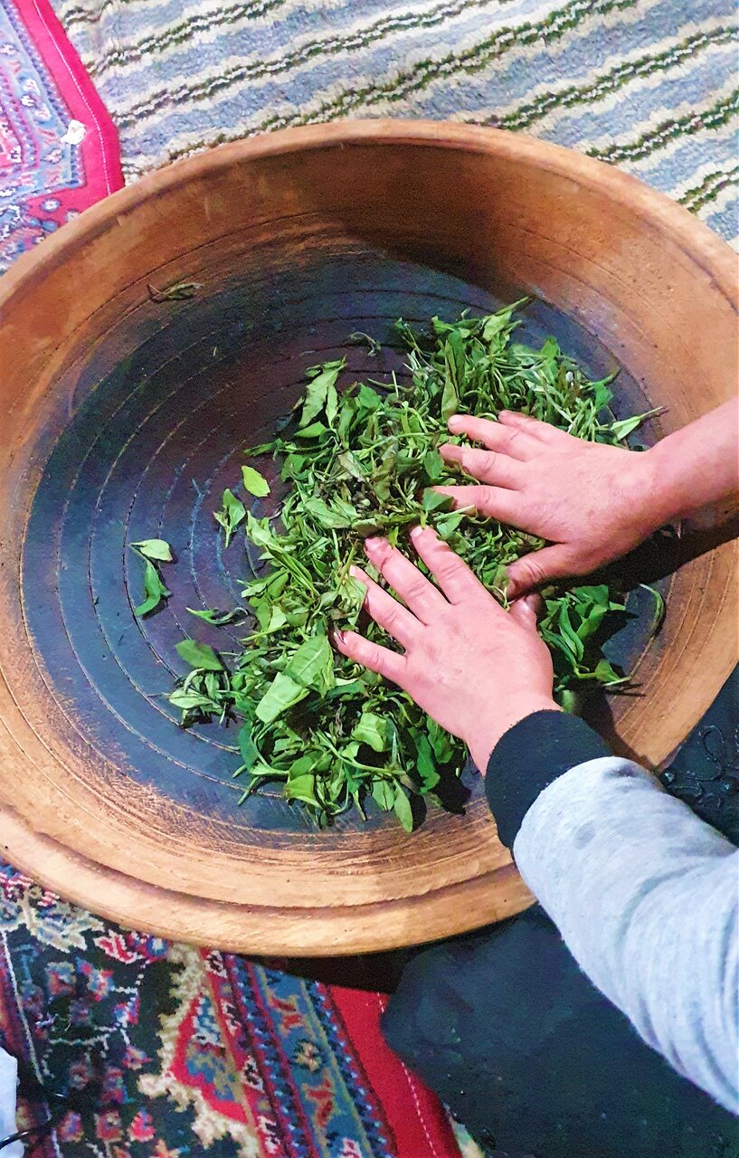 احیای پارچههای نایاب و چشیدن طعم واقعی چای