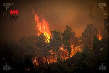 آتش‌سوزی در مناطق جنگلیِ یونان/ هزاران نفر مجبور به ترک خانه خود