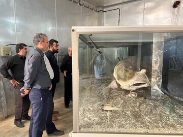 میراث‌ فرهنگی گلستان آماده راه‌اندازی موزه ماهیان خاویاری در آشوراده