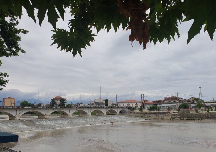 ظرفیت پنهان «بُنِ تنکا» چسبیده به خزر