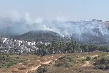 آتش سوزی گسترده در مناطق جنگلی قدس اشغالی+فیلم