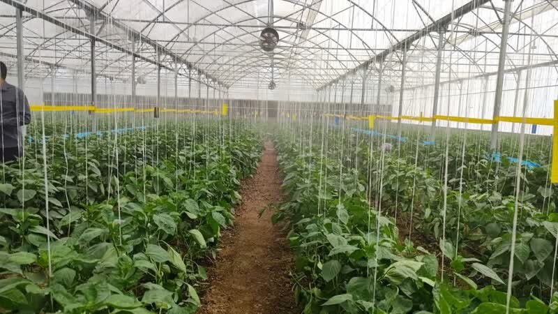 دور دوم سفر رئیس جمهور به فارس/حضور رئیس جمهور در دانشگاه شیراز