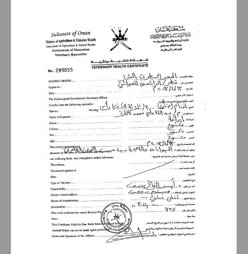 روزانه بین 4 تا 5 هزار دام سبک به مقصد عمان قاچاق می شود + اسناد 12