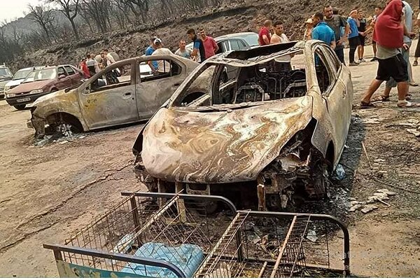 الجزائر کے جنگلات میں آتشزدگی، 34 افراد ہلاک
