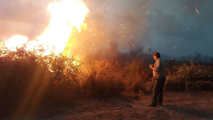 ۱۵ ساعت جهنمی در میانکاله/ آتش قصه پرغصه پناهگاه حیات وحش