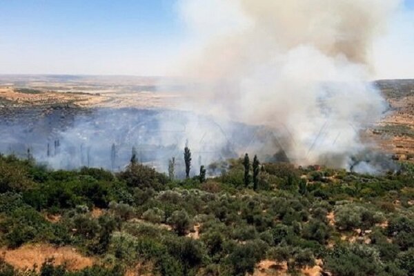 آتش سوزی گسترده در استان حماه سوریه