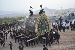 نخل‌برداری در روستای «درب هنز» بهاباد برگزار شد