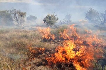 آتش سوزی مراتع بوکان ۲ میلیارد ریال خسارت به بار آورد