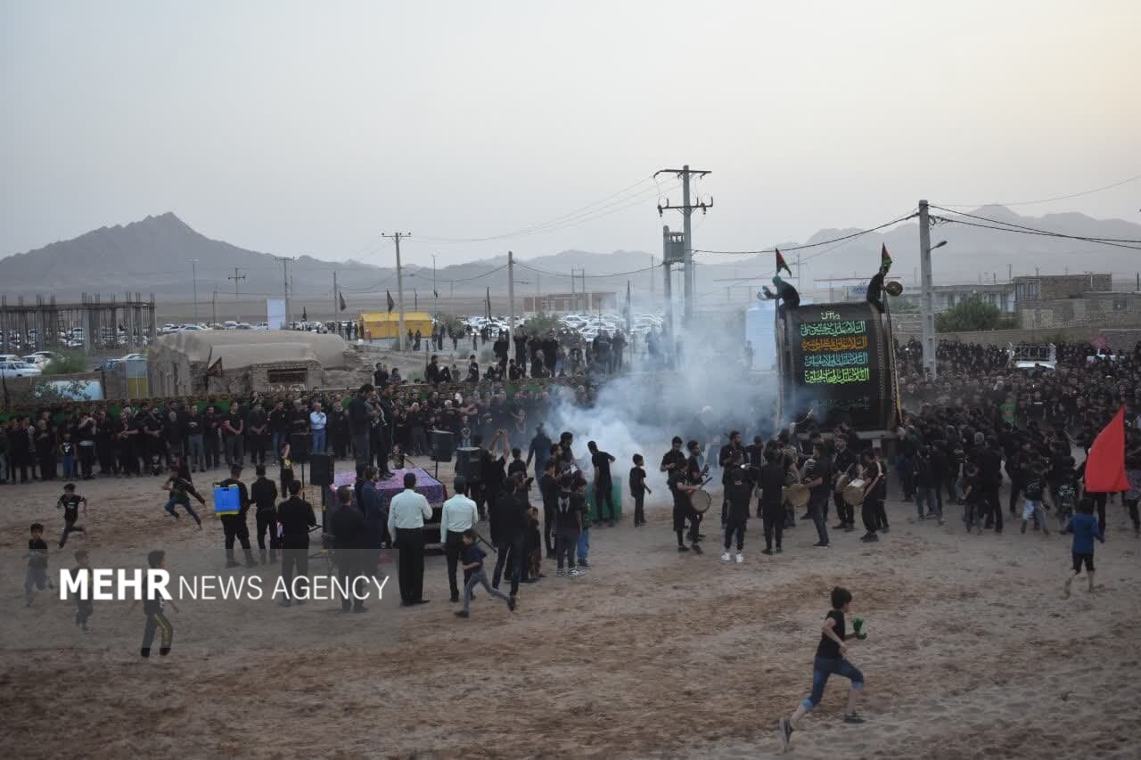 نخلبرداری در روستای «درب هنز» بهاباد برگزار شد