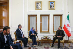 نماینده دبیرکل سازمان ملل درامور عراق با امیرعبداللهیان دیدار کرد