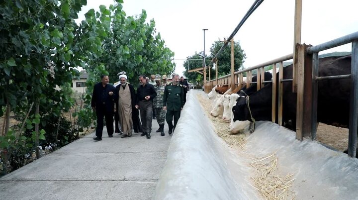 ۱۵۰ روستای مازندران تحت پوشش دهکده اقتصاد مقاومتی هستند