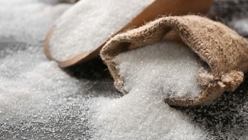 کمبود شکر در گیلان شایعه است/ ذخیره ۸۰۰ تنی شکر در استان