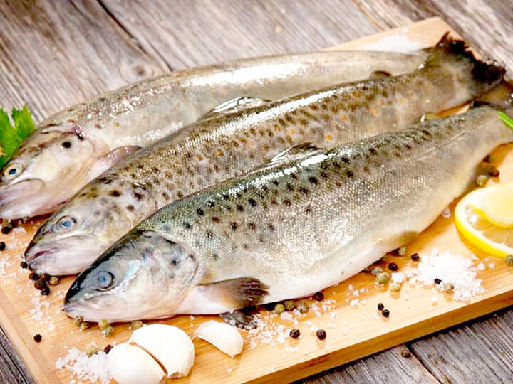 حدود ۶۰ درصد بازار تقاضا از داخل تامین میشود