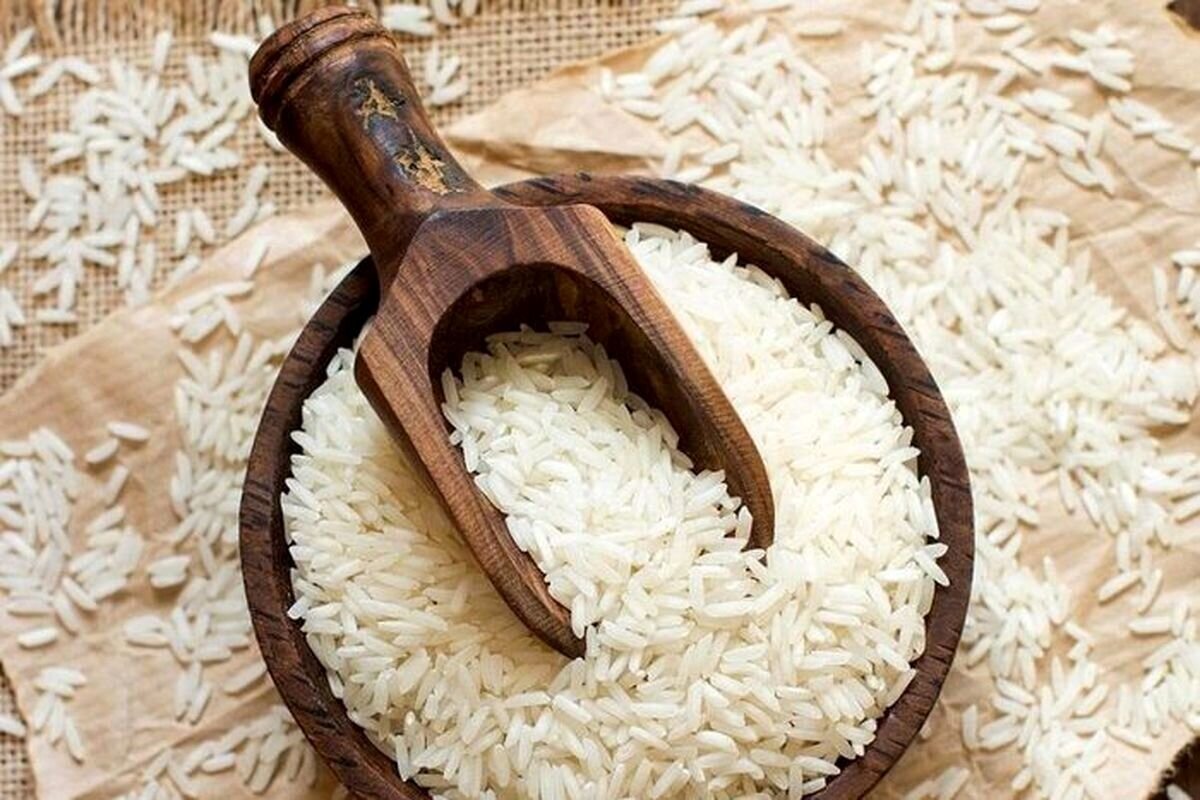 خرید ۳ نوع برنج پرمحصول در گلستان آغاز شد