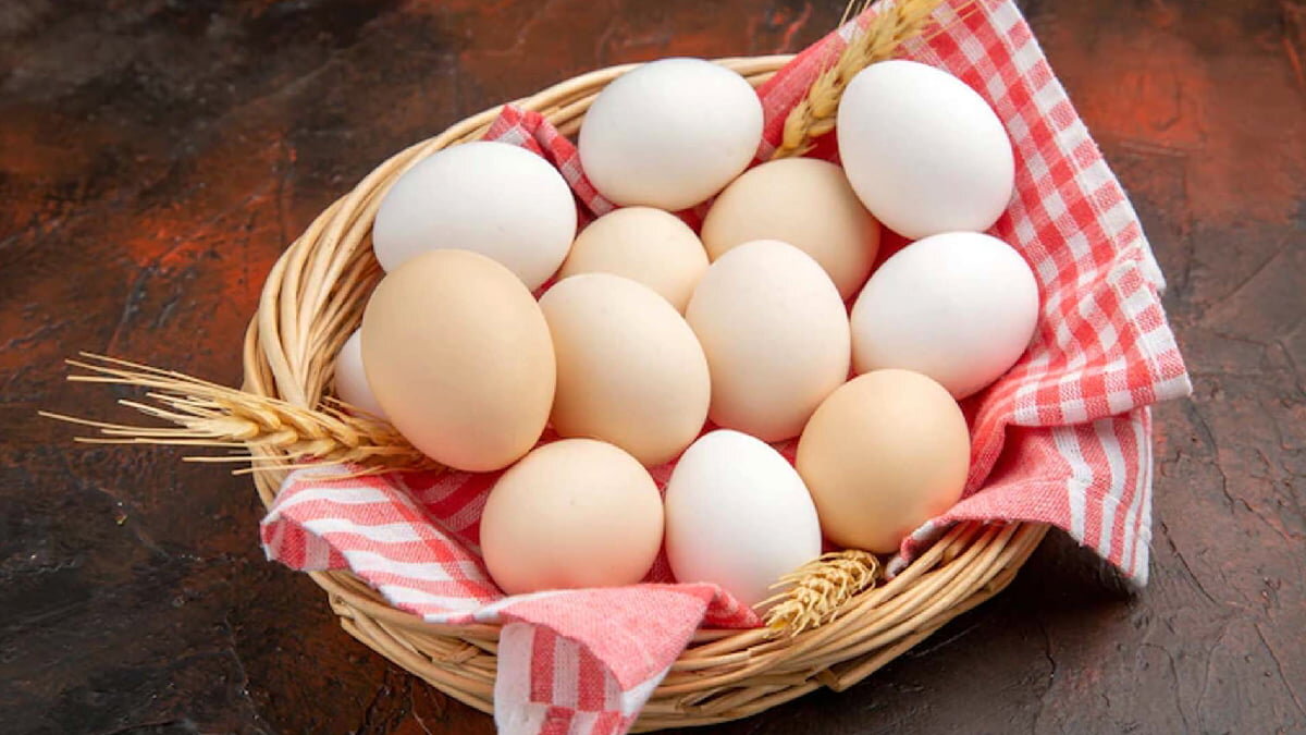 ۱۰ درصد از کل تخم مرغ کشور در آذربایجان شرقی تولید می‌شود