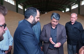 کشاورزان اردبیلی عجله ای در برداشت گندم نداشته باشند