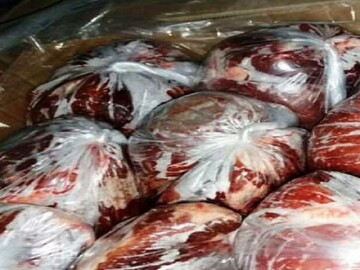 توقیف ۹۰۹ کیلوگرم گوشت بدون هویت منجمد در مشهد