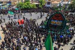 یزد، فھادان میں امام حسینؑ کے ہفتم کی مناسبت سے نخل برداری کے مراسم