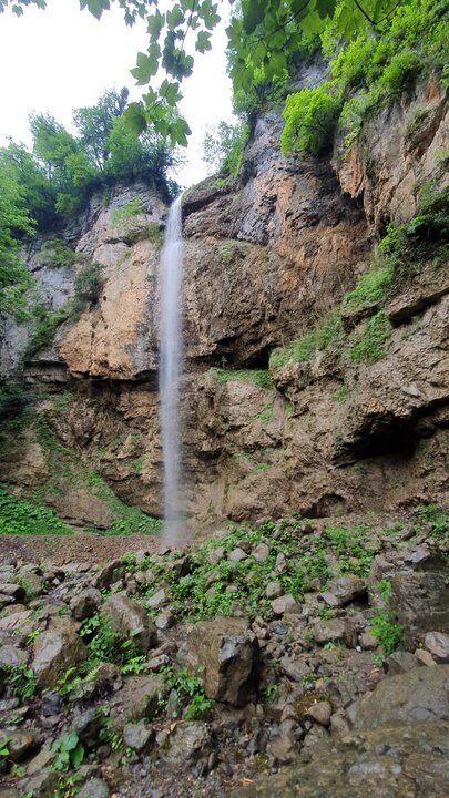 طبیعت بکر شهسوار در برابر کاشت ویلا در جنگل