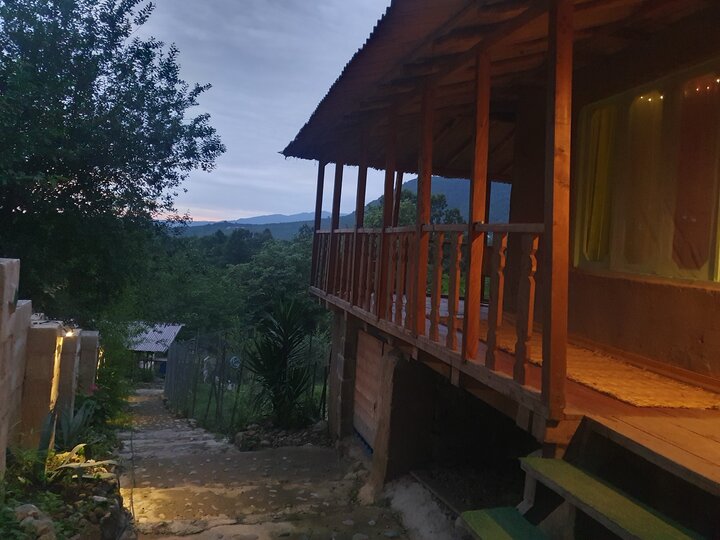 طبیعت بکر شهسوار در برابر کاشت ویلا در جنگل